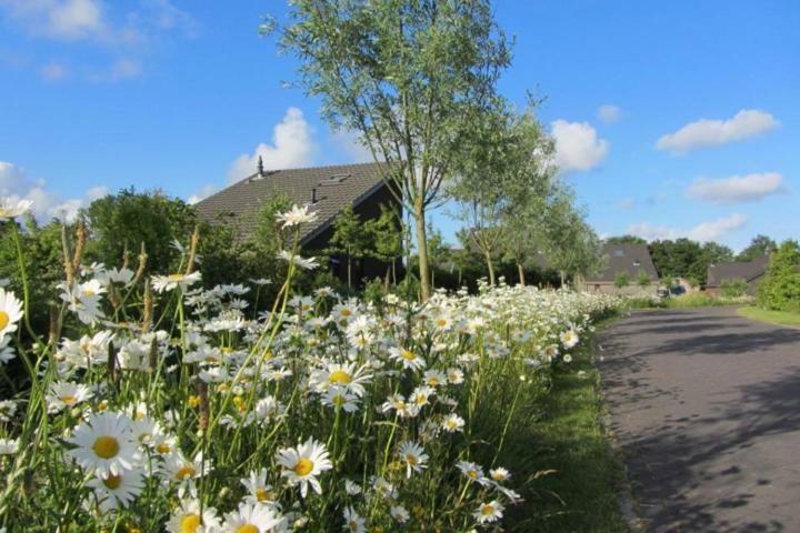 Bergen Holiday Home Схорл Экстерьер фото